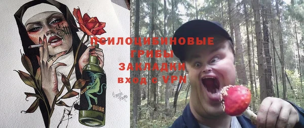 дживик Дмитриев
