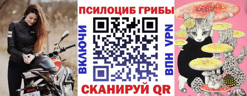 Псилоцибиновые грибы Magic Shrooms  Купить где  Дыгулыбгей 